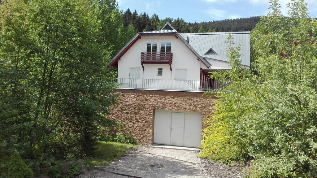 Apartment Labska
